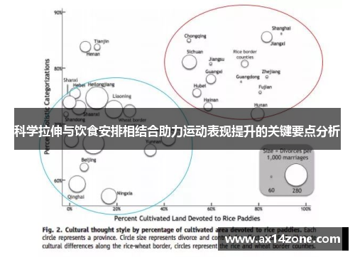 科学拉伸与饮食安排相结合助力运动表现提升的关键要点分析